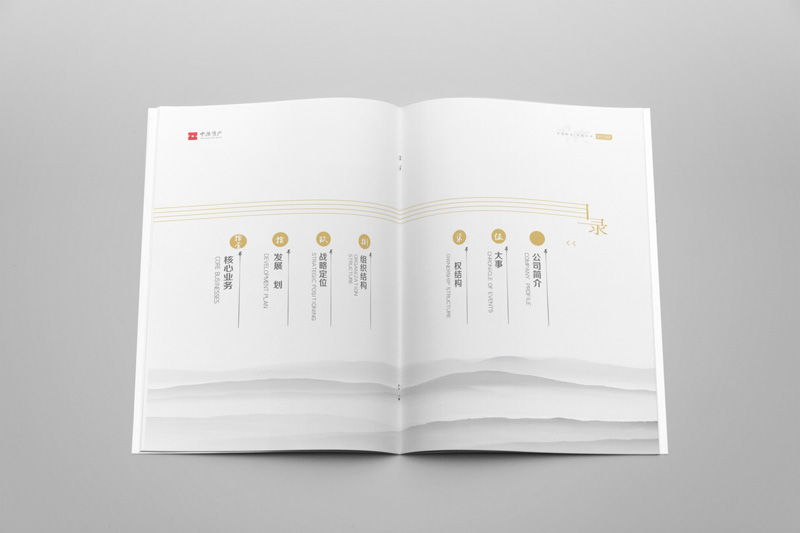 中原资产1.jpg 中原资产1.jpg