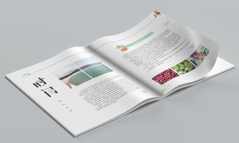 280006.jpg 280006.jpg